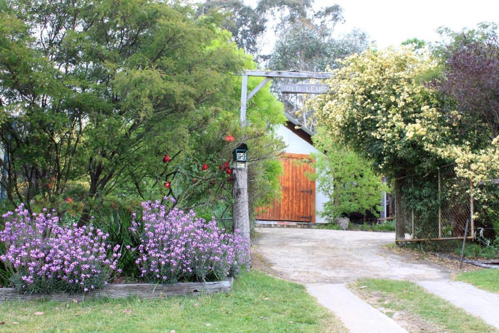 Hotel Old Leura Dairy Habitación foto